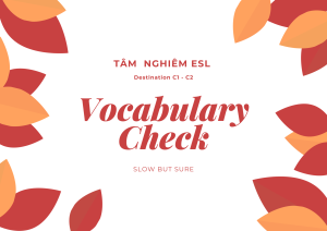 Des C1 C2 Vocabulary Check