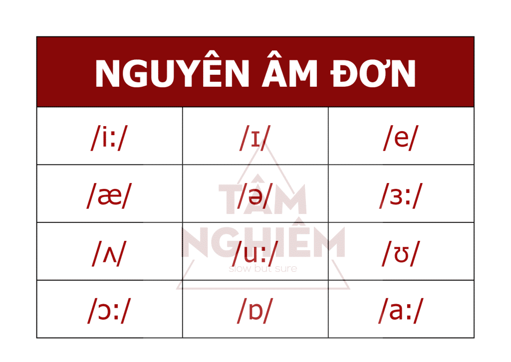 Nguyen Am Don